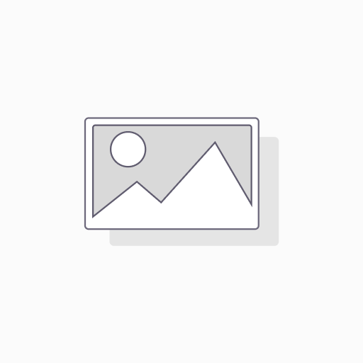 Adaptor 2A WP
