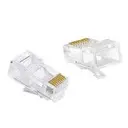 RJ 45 CAT6 برطمان